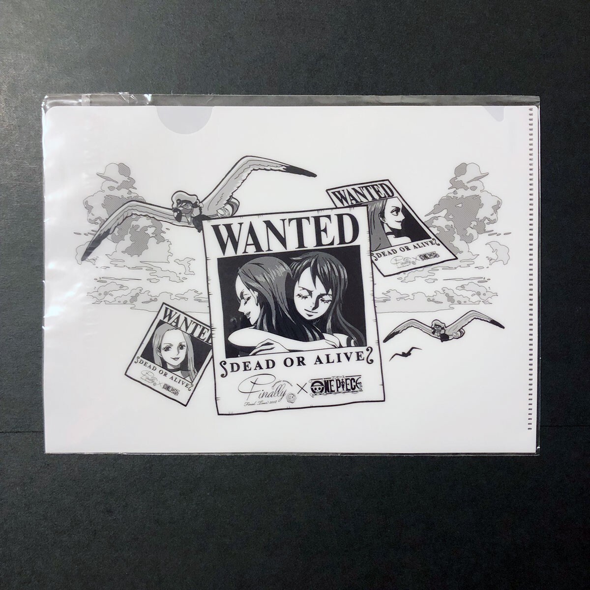 amiページ Z133 Amuro Namie & Nami One Piece x Finally File Folder 8.5in