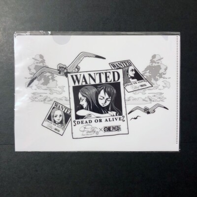 34M76 Amuro Namie & Nami One Piece x Finally File Folder 8.5in Sealed