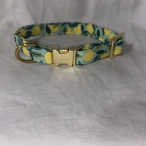 The Foggy Dog XS Lemons Collar with Gold Hardware for Small Dogs