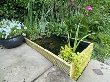 Raised Pond Garden Water Feature Wooden Aquatic Planter 110x53x39h cm ReadyToUse