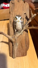 Vintage Wooden Wall Hanging BURROWING Owl(STONE) On RECLAIMED WOOD/BRANCHES