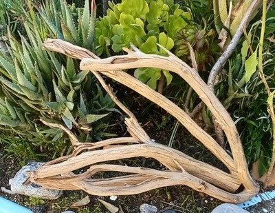 Set Of 2 Large Driftwood Manzanita Aquascape Aquarium Terariam 