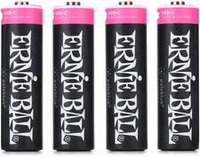 Ernie Ball USB-C Rechargeable Battery by Paleblue - AA, 4-pack