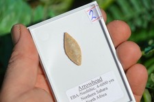 HIGH GRADE PREHISTORIC/ NEOLITHIC FLINT ARROW HEAD, STONE AGE TOOL SAHARAN #2