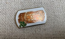 BPOE Elks Lodge 2450 Holbrook Arizona Cactus Hat Lapel Pin Pinback