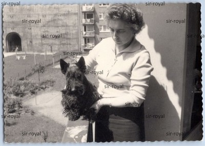 Woman with Scottish Terrier Dog on Balcony - 1960s - Photo 9x6cm
