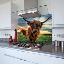 Highland Cow Toughened Glass Kitchen Splashback - Adhesive Included