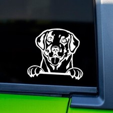 Peeking Labrador Vinyl Decal Sticker Dog Car Truck Window Lab Dog