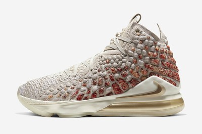 nike lebron james xvii