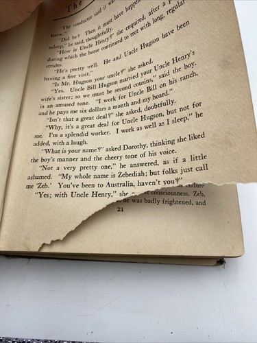 Dorothy And The Wizard In Oz By L Frank Baum The Reilly & Lee Co HC 1908 - Picture 15 of 24