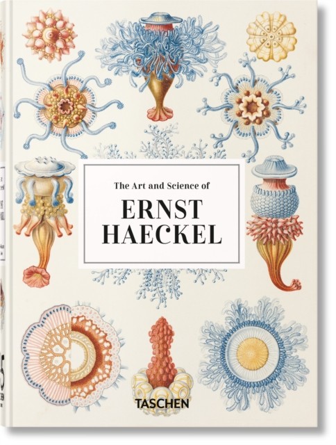 Ernest Haeckel