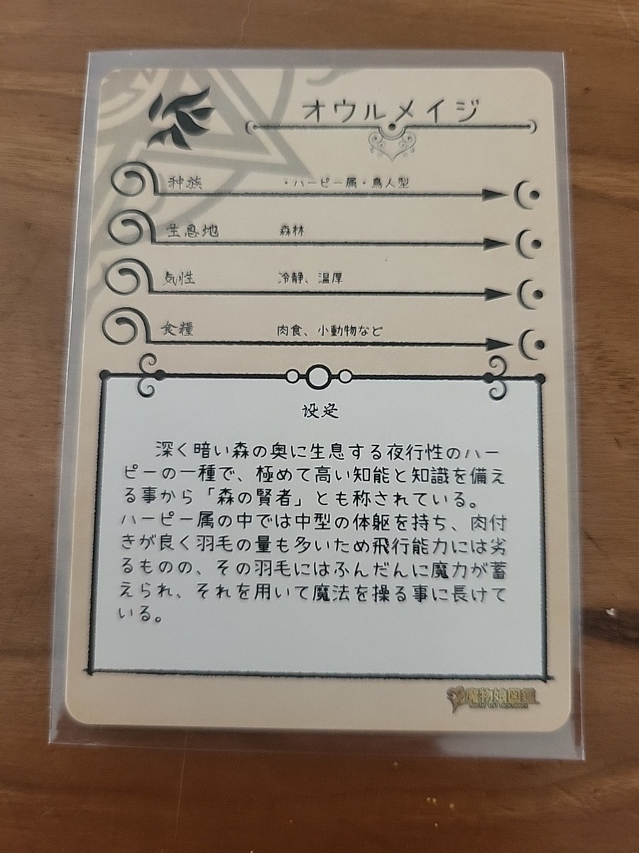 Monster Girl Encyclopedia TCG Owl Mage MG-017 SSR | eBay