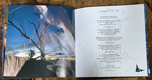 No more we hear the Heart felt Song Self made cd !! Be the first to buy!! - Picture 6 of 17