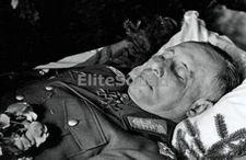 WW2 Picture Photo German 1944 Desert Fox Marshall Erwin Rommel  0611