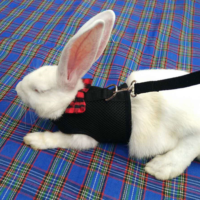 Rabbit Vest Guinea Pig Rat Ferret Harness & Lead Breathable Soft Pet ...