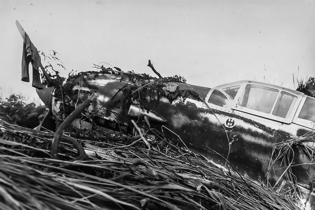 Japanese 68th Sentai Kawasaki Ki-61 Hien 