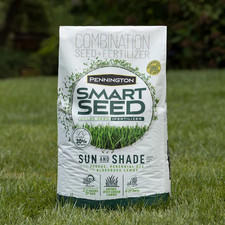 SHIPS FREE | Pennington Smart Seed Sun & Shade Grass Seed 20 lbs Bag Northern 2.59 per gallon