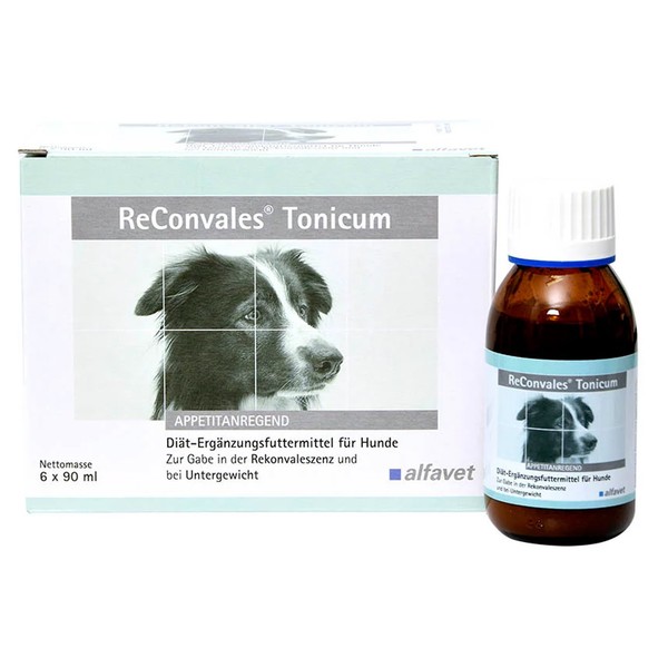 Alfavet Reconvales Tonicum 6X90 Ml | Hunde | Rekonvaleszenz | Untergewicht-image
