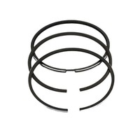 Kolbenring-Satz (1,00 Mm-üBergrößE-81,00 Mm): Kompatibel Mit Lombardini / 25LD 3