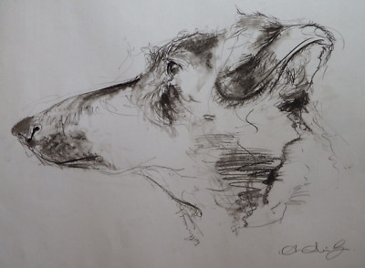 Drawing of the head profile of a Jack Russel Dog Charcoal Pencil Sketch Large