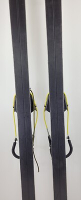 Fischer GTS Super 190cm Skis w/ Black Diamond Riva Cable Bindings