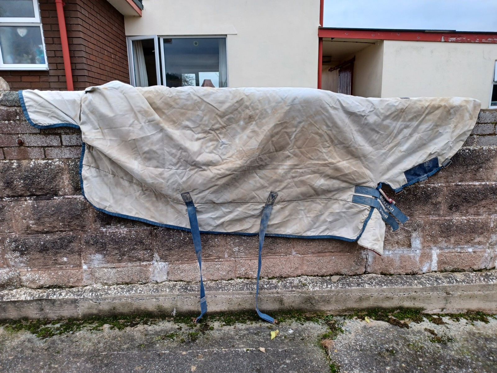 Bucas Power Heavyweight Combo Turnout Rug Size 6'3 eBay