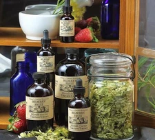 BILBERRY FRUIT Angina Circulation Inflammation ORGANIC Folk Remedy Tincture 