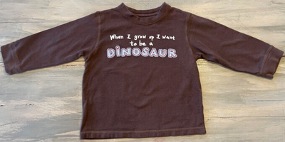 GYMBOREE 2009 Mighty Dinos 