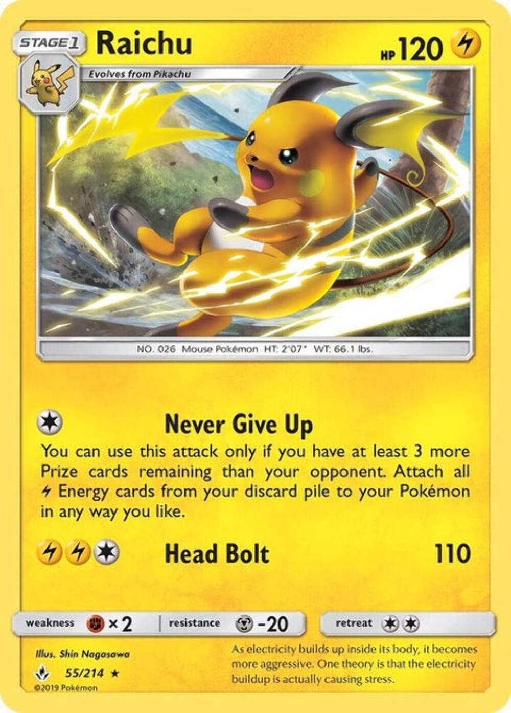Raichu (55)