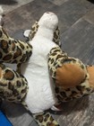 Cute Fluffy Leopard Plushie — photo 4