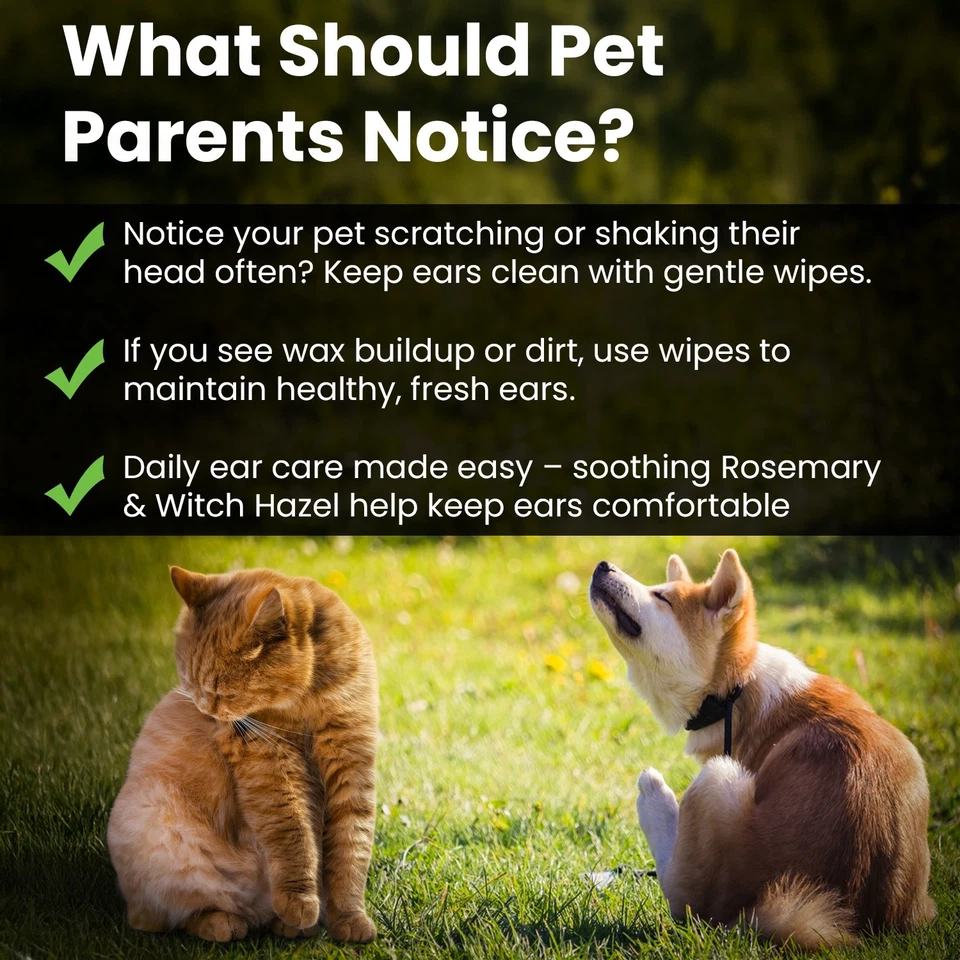 Pet Ear Wipes for Dogs Cats -Dog Ear Cleaner Wipes, Finger Wipes Rosemary - 50CT - Image 3 of 4