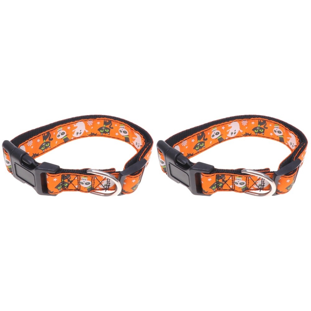 Can Cats Wear Small Dog Collars