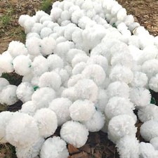 Indian Artificial Marigold Flower Garlands Vine white 5 ft Wedding Decoration