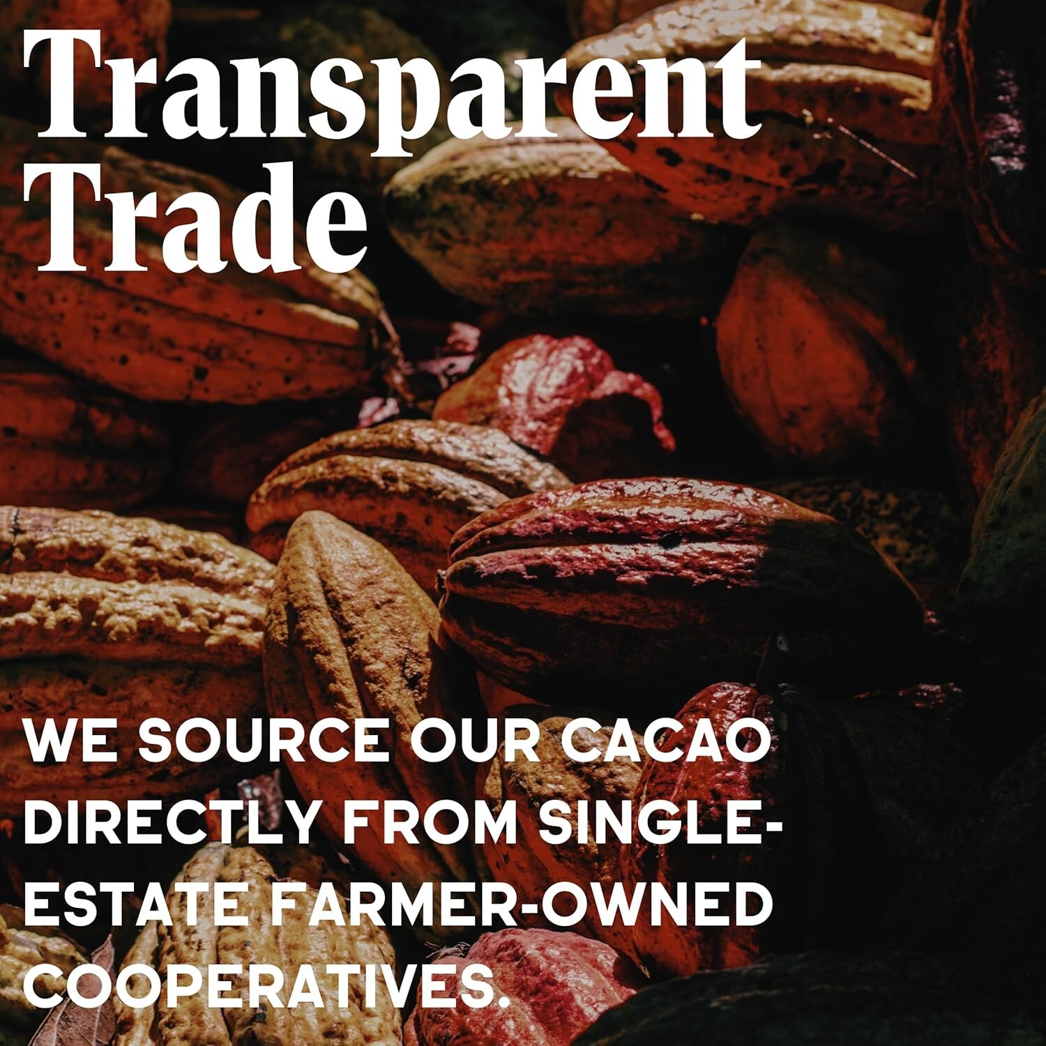 Organic Unsweetened Cacao Powder with Rich Dark Chocolate Flavor NEW