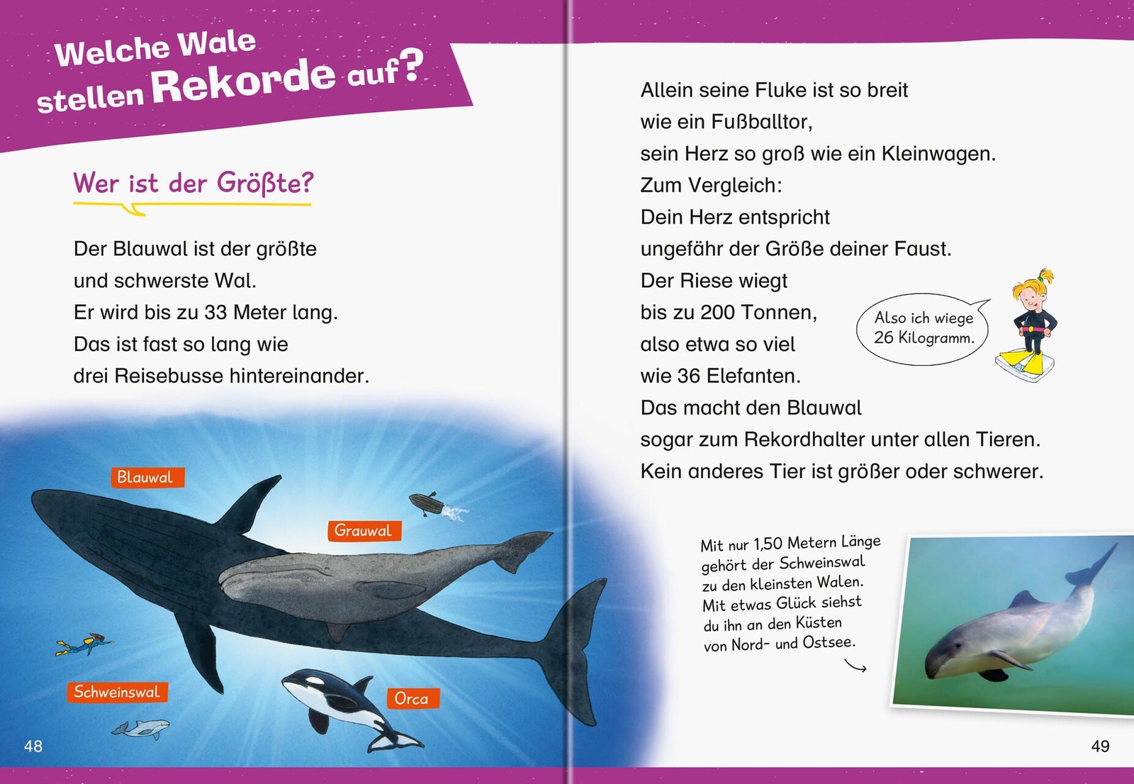 Thumbnail - Wieso? Weshalb? Warum? Erstleser: Wale Und Delfine (band 3) Sandra Noa