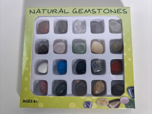 Kit Geologia Regalo Collezione Gemme Naturali Scatola da 25 Pietre Scienza Regali - Foto 1 di 4