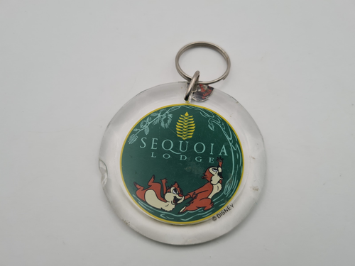 Vintage Keychain Sequoia Lodge Disney Acrlyic Round Keyring Damaged Rare
