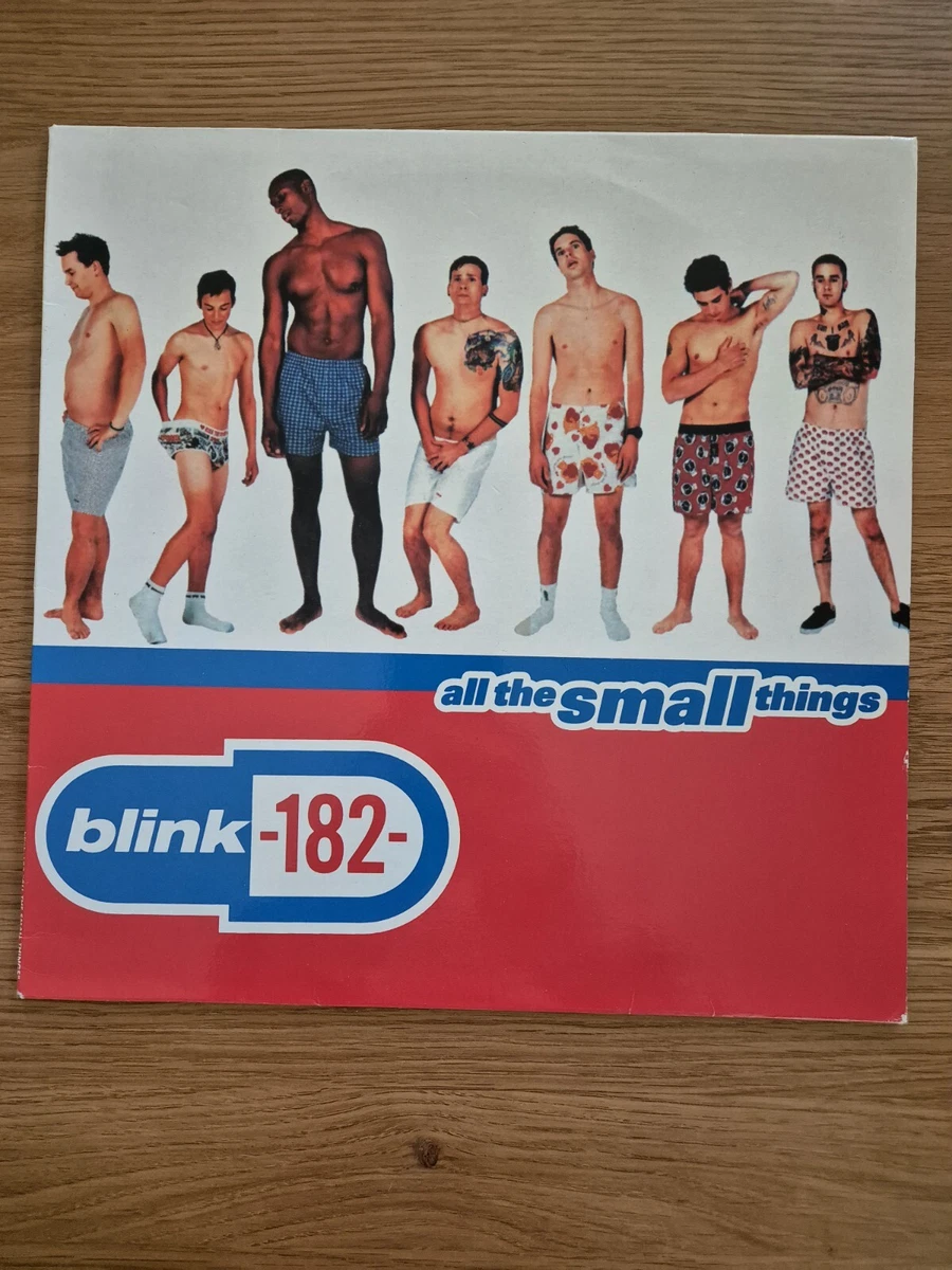 Blink-182 All The Small Things レコード 12 【公式通販】