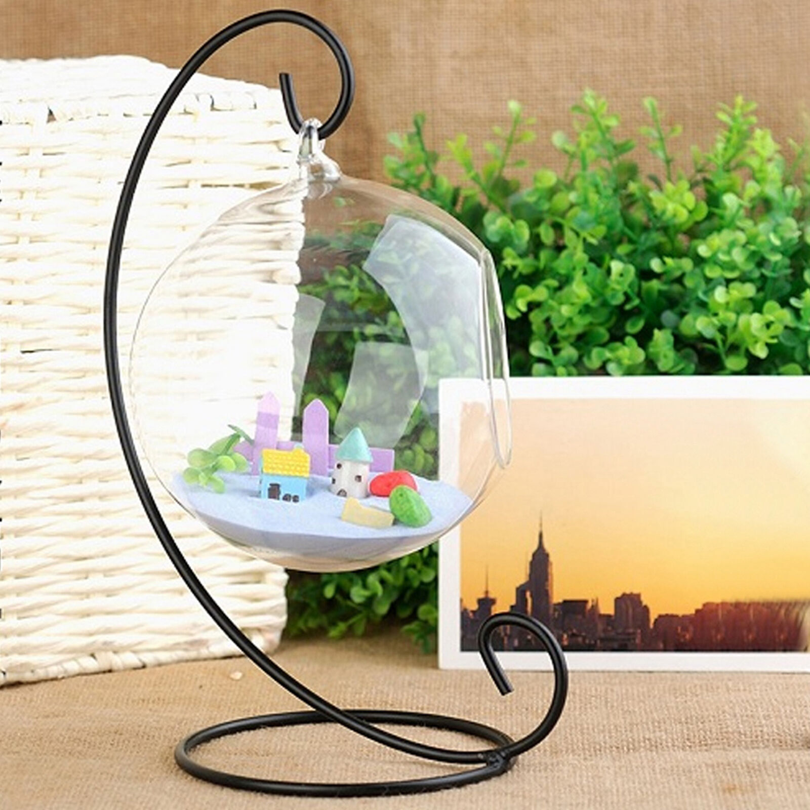 Large Hanging Glass Terrarium Vase for Air Plants and Succulents with Frame
