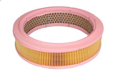 Air Filter Mann Filter C 2443/1 FSO 125P 1.3 1967-1992