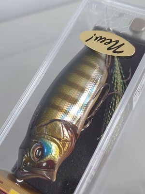 Megabass Ito Pop Max First Timegg Aaron Ob