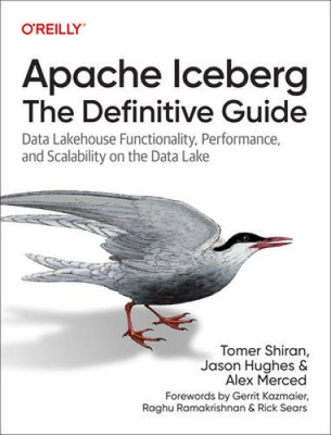 Apache Iceberg The Definitive  - VERY GOOD