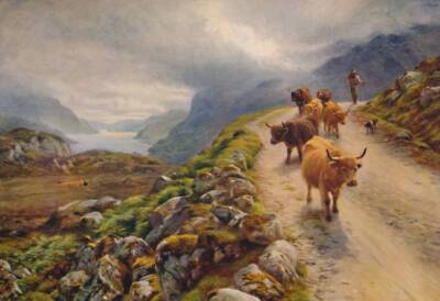 Loch Maree 1912 Cattle in the Highlands of Scotland Historic Old Photo