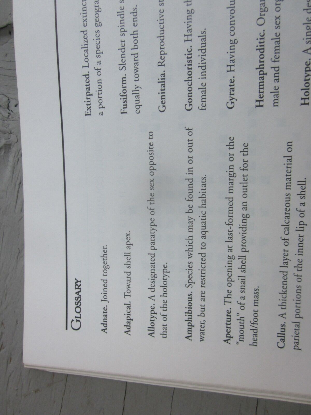Picture 4 of 6