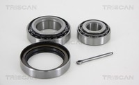 Triscan Radlagersatz 8530 23107 FüR Mercedes 123 W123 Klasse W126 C126 Model 200