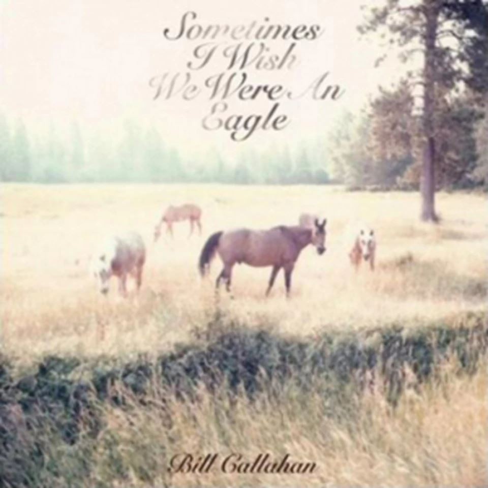 Bill Callahan - Sometimes I Wish I Were an Eagle (Drag City) CD Album