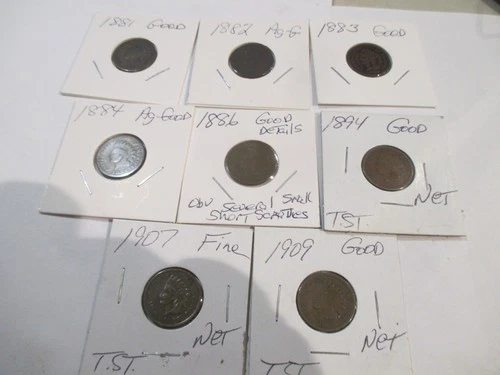 8 Different Indian Head Pennies