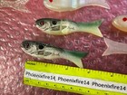 16 Pc Assorted Size and Colors Segment Jointed Softplastic Lures — photo 8
