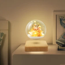 Magnetic Levitation Flower Light Floating Flowers with LED Light For Home Decro
