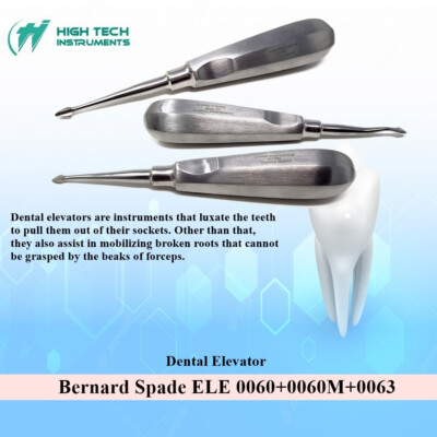3 PC Bernard Spade Tip Dental Surgical Elevator Root Extraction Teeth Loosening
